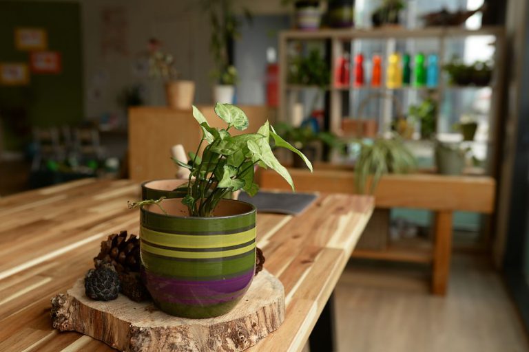 Choosing a Childcare Centre omage of green and brown striped plant pot on a bench