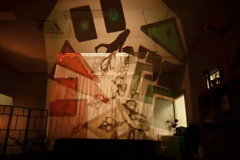 Evoke Clayton Shadows behind material at shadow theatre