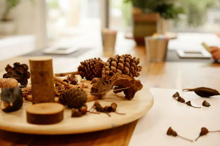 Evoke Clayton, image of pine cones and leaves