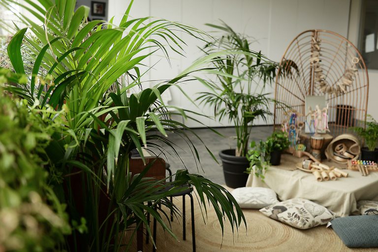 Pot plants at Evoke Early Learning Child Care Centre in Albert Park and South Melbourne.